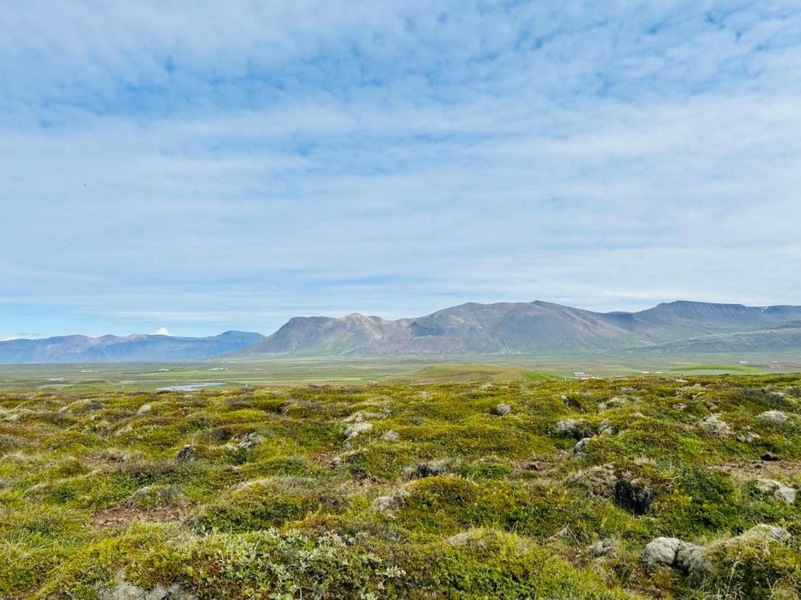 Syðri-Þverá Hvammstangi Esterno foto